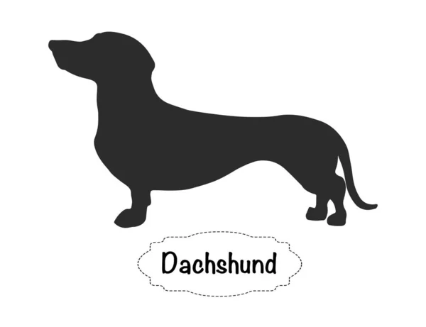 Beyaz arka plan üzerinde Dachshund köpek vektör izole siluet.