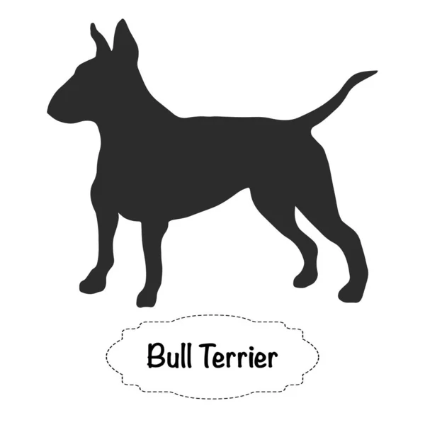 Beyaz arka plan üzerinde Bull Terrier köpek Vektör izole siluet.