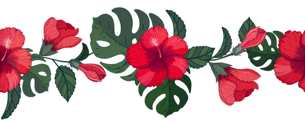 Borde Tropical Floral Sin Costuras Con Hibisco Monstera Cepillo Patrón — Archivo Imágenes Vectoriales