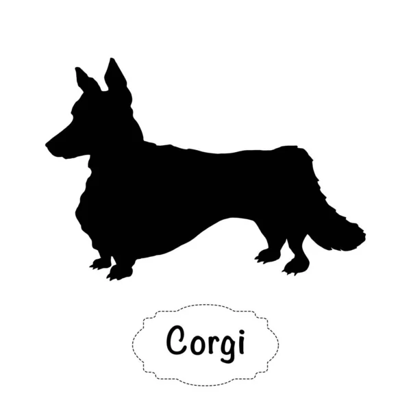 Beyaz arka plan üzerinde corgi köpek vektör izole siluet.