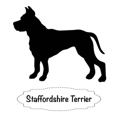 Beyaz arka plan üzerinde staffordshire terrier köpek Vektör izole siluet.