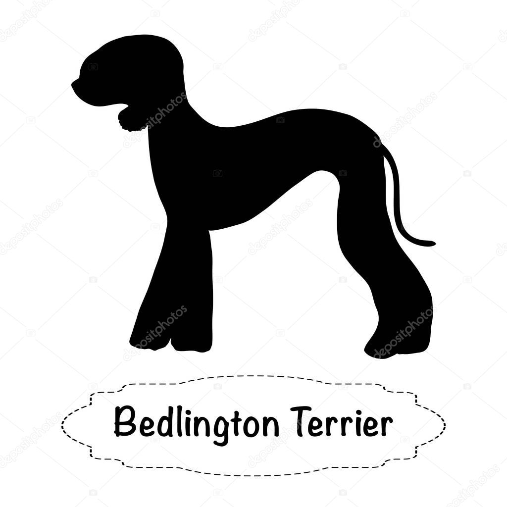 Vector isolated silhouette of  bedlington terrier dog on white background.