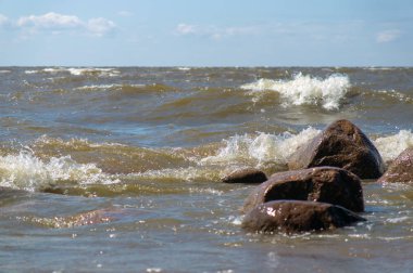 güneşli bir yaz gününde dalgalar tarafından yıkanmış deniz plajında taşlar