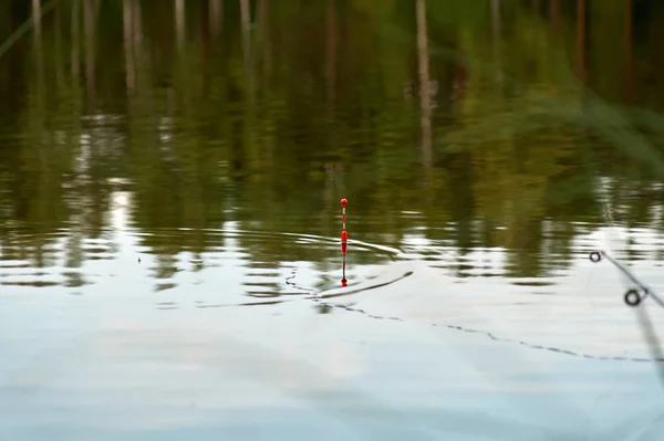 Vissen op een dobber in de zomeravond. meer, reflectie van het bos in het water — Stockfoto