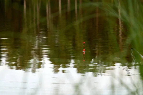 Fiske på en flottör i sommarkväll. Lake, reflexion av skogen i bevattna — Stockfoto