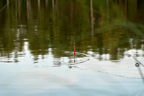 Pesca em um flutuador na noite de verão. lago, reflexo da floresta na água — Fotografia de Stock