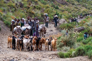 Sokota, Etiyopya - 14 Aralık 2010: insanlar köyden Sokota Kuzey Etiyopya Tigray bölgesinde marjet olacak