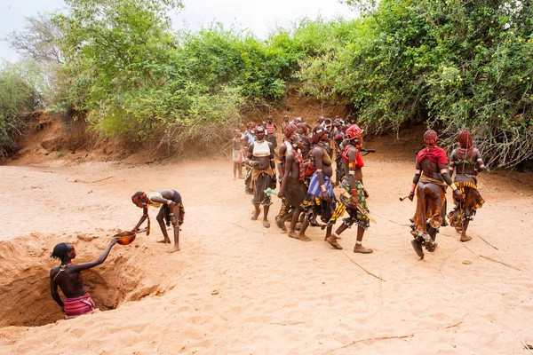 Turmi Omo River Valley Etiópia Dezembro 2010 Hamar Ladies Village — Fotografia de Stock