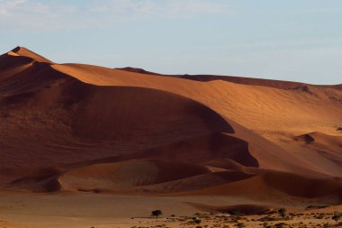 Namibya'daki Namib-Naukluft Ulusal Pak bölgesindeki Sossusvlei bölgesinin kırmızı kum tepeleri