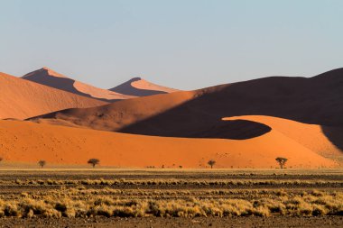 Namibya'daki Namib-Naukluft Ulusal Pak bölgesindeki Sossusvlei bölgesinin kırmızı kum tepeleri