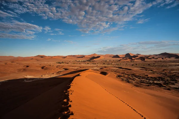 Gurun Pasir Merah Daerah Sossusvlei Namib Naukluft National Pak Namibia — Stok Foto