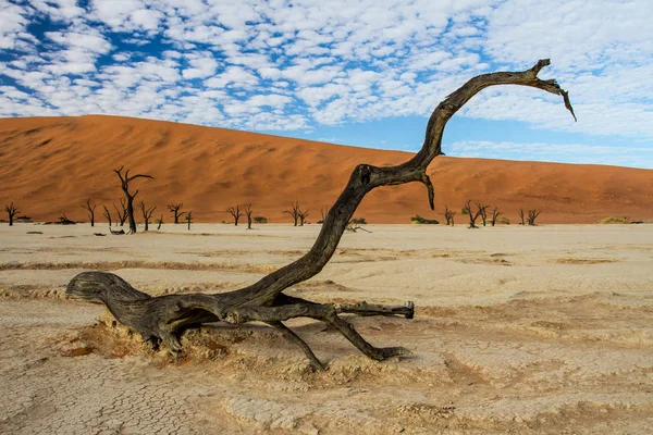 Dead Vlei Cerca Sossusvlei Por Mañana Temprano Con Nubes Parque — Foto de Stock