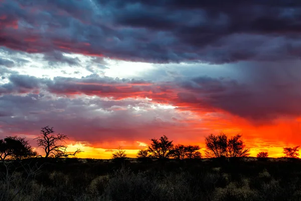 Matahari Terbenam Dalam Pemandangan Dengan Awan Guntur Kgalagadi Transfrontier Park — Stok Foto