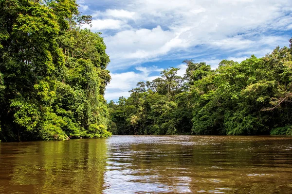 Indah Lebat Hutan Tropis Hijau Pemandangan Hutan Terlihat Dari Perahu — Stok Foto