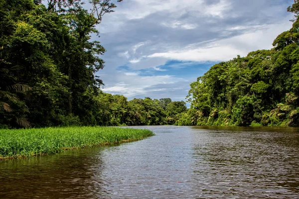 Красивые Пышные Зеленые Тропические Лесные Джунгли Пейзаж Видели Лодки Национальном — стоковое фото