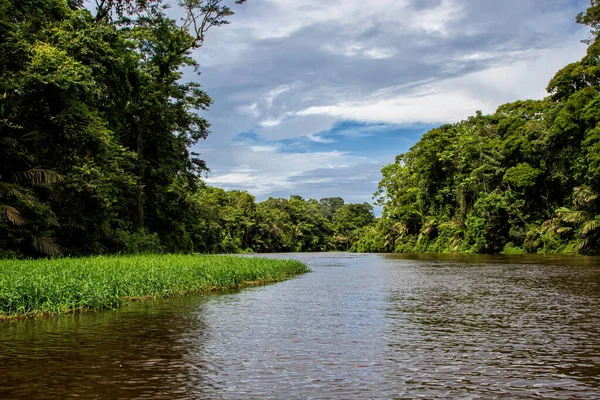 Hermoso Paisaje Selva Tropical Verde Exuberante Visto Desde Barco Parque — Foto de Stock