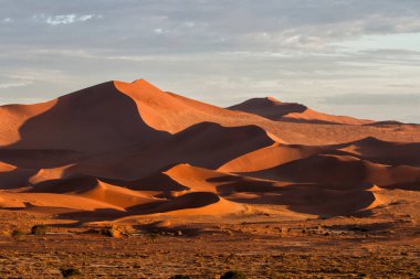 Namibya 'daki Namib-Naukluft Ulusal Parkı' ndaki Sossusvlei bölgesinin kırmızı kumulları.