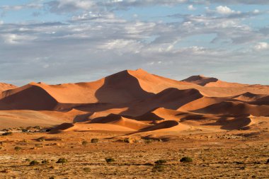 Namibya 'daki Namib-Naukluft Ulusal Parkı' ndaki Sossusvlei bölgesinin kırmızı kumulları.
