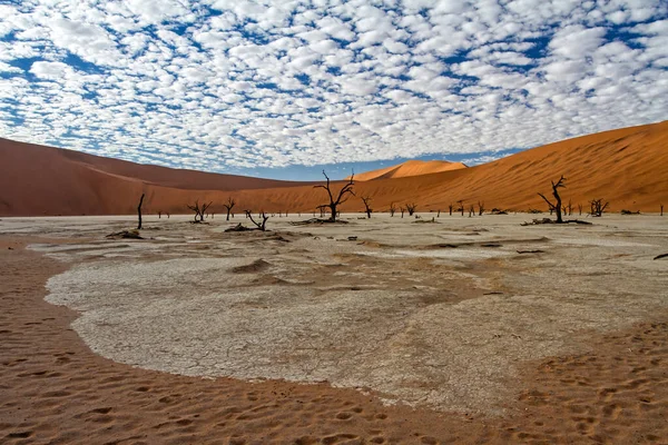 Árvores Mortas Com Lindo Céu Nublado Dead Vlei Sossusvlei Parte — Fotografia de Stock