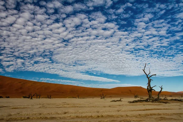 Dode Bomen Met Een Prachtige Bewolkte Lucht Dead Vlei Sossusvlei — Stockfoto