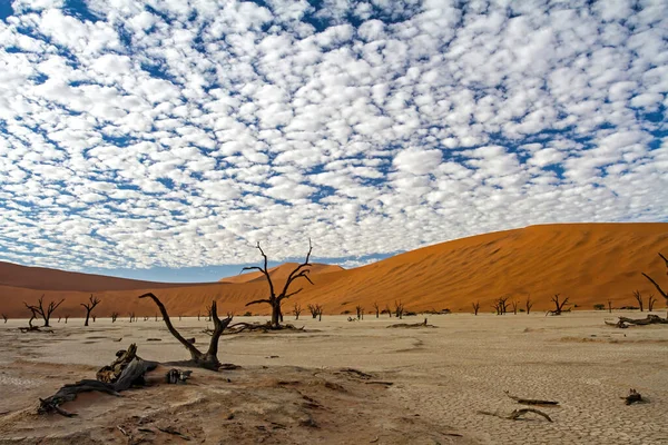 Árboles Muertos Con Hermoso Cielo Nublado Dead Vlei Sossusvlei Parte — Foto de Stock