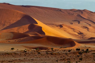 Namibya 'daki Namib Nauklft Ulusal Parkı' ndaki Sossusvlei 'nin kırmızı kum tepelerinin manzarası.