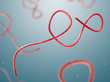 Ebola virüsü yakın çekim