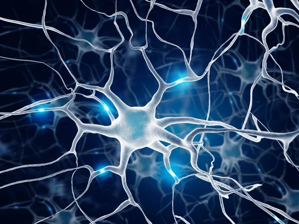 Neurons in brain. Blue color.
