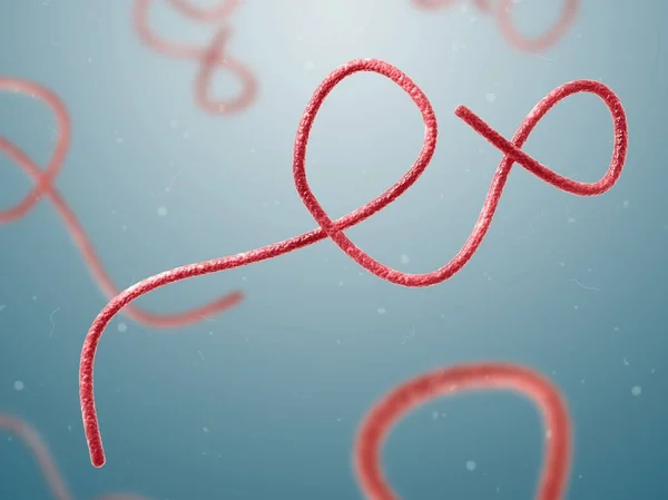 Ebola virüsü yakın çekim