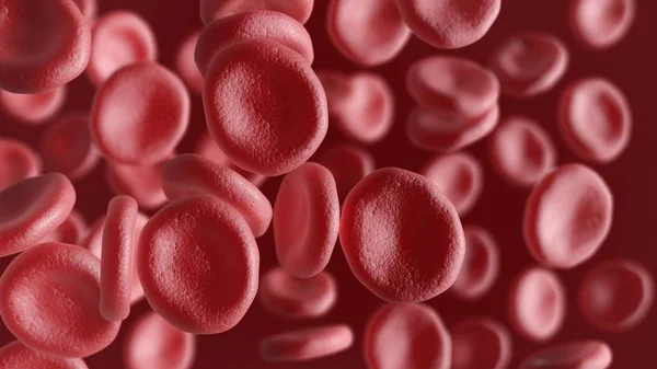 Kırmızı kan hücreleri. Hematopoietik hücre.