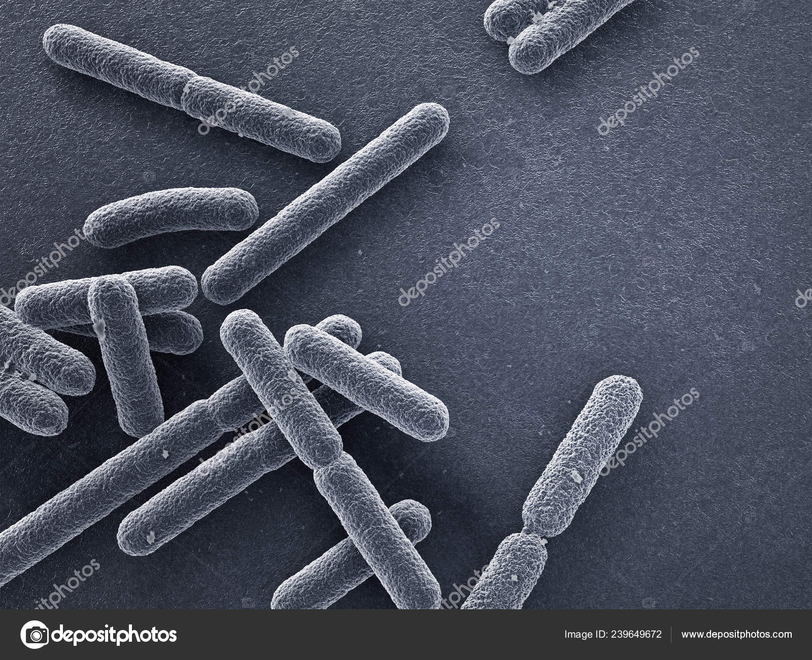 Escherichia coli analni seks