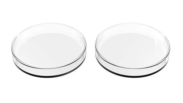 Дві Чашки Петрі Ізольовані Білому Тлі Ілюстрація Порожній — стокове фото