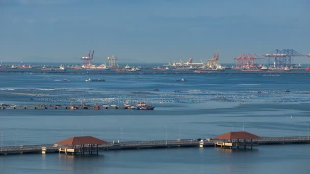 Lapso de tiempo del transporte de la ciudad en el puente y el transporte logístico industrial en el puerto con el producto de elevación de la grúa de camión para el envío en barco en el mar a ultramar — Vídeo de stock