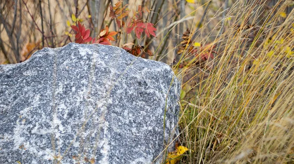 Sonbahar çimlerinde granit taş. Güzel granit taş sonbahar çimlerinde yatıyor..