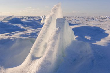 Bir kış gölde yüzen bir buz kütlesi ve bir güneş vardır