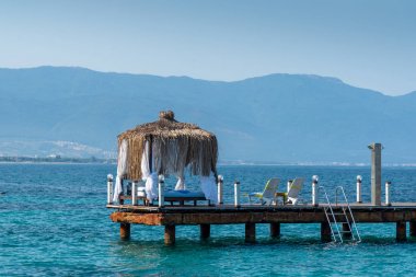 Orman koruluğu güneşli bir sahilde. Arkadaki mavi gökyüzü ve dağ. Tatil ve tatil plaj konsepti.