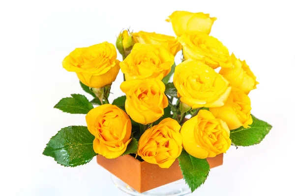 Buquê de rosas amarelas está em uma pequena caixa de laranja em um fundo branco. As flores são horizontais close-up — Fotografia de Stock