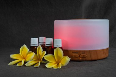 Esans difüzör frangipani çiçek ve küçük cam esans şişeleri ile