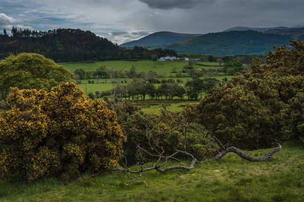 En vacker utsikt från vägen på väg till Buttermere i Lake District. — Stockfoto