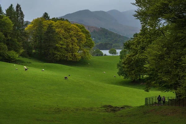 Blick vom Schloss auf den Windermere-See, mit Wanderern auf dem Weg zur Fähre. — Stockfoto