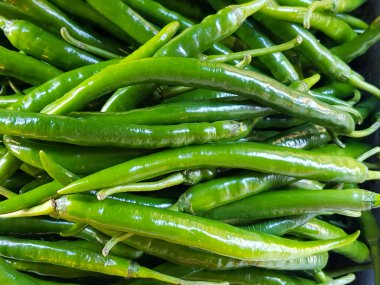 uzun sıcak yeşil biber