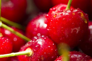 Su damlaları ile taze kiraz meyveleri kapatın. Antioksidan, vitamin, organik meyve