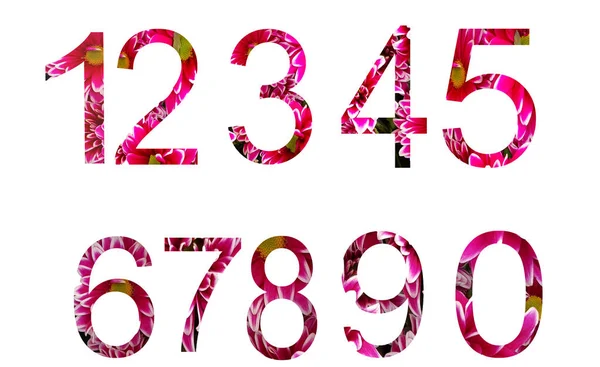 Beyaz Arka Planda Izole Edilmiş Doğal Kırmızı Çiçeklerden Arapça Sayılar — Stok fotoğraf