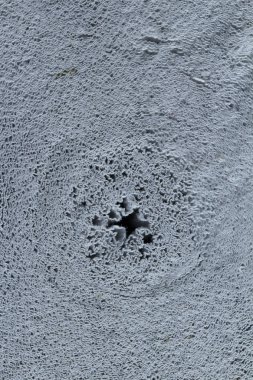 tuvalet kağıdı rulo yakın