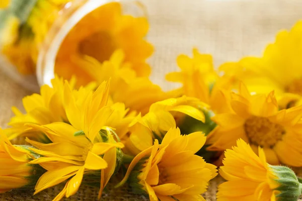 Fiori Calendula Calendula Officinalis Vaso Vetro Uno Sfondo Sacco Sfondo — Foto Stock