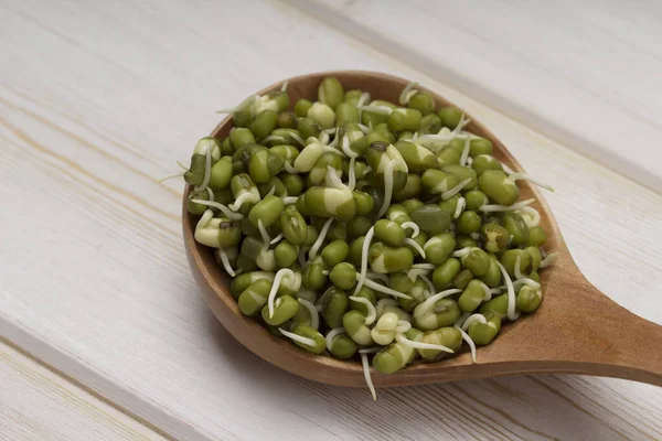 Haricots Mungo Germés Dans Une Cuillère Bois Vue Rapprochée — Photo