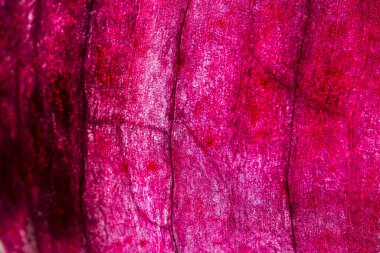 Soyulmuş kırmızı soğan derisi makro shot. Yemek arkaplanı. Seçici odak. 