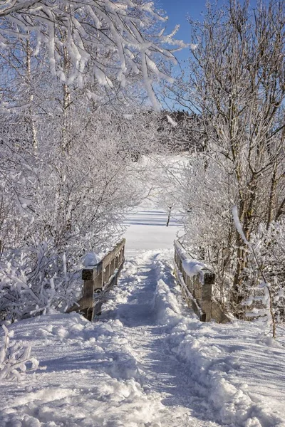 Крытый Снегом Мост — стоковое фото
