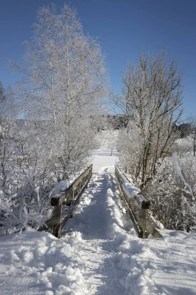 Небольшой Мост Зимой — стоковое фото