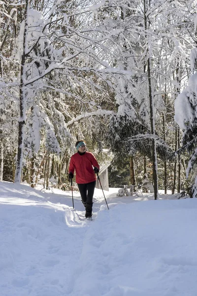 Зимняя Счастливая Женщина Гуляет Снегу Природе Радостный Человек Отдыхает Открытом — стоковое фото